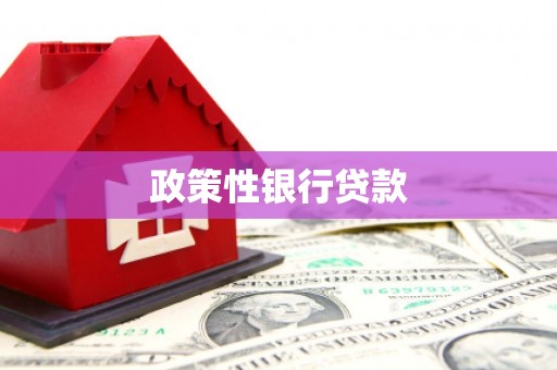 岳阳楼政策性银行贷款