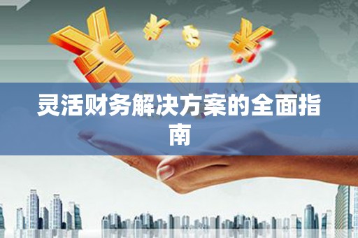 岳阳楼灵活财务解决方案的全面指南