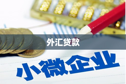 岳阳楼外汇贷款
