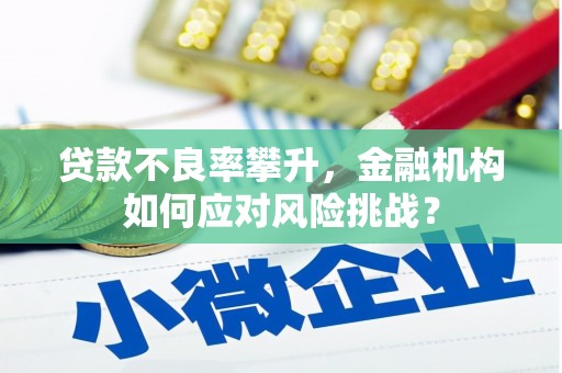 岳阳楼贷款不良率攀升，金融机构如何应对风险挑战？
