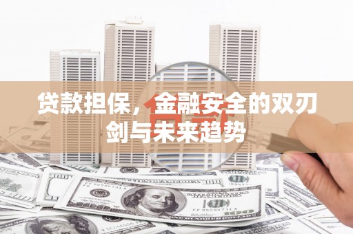 岳阳楼贷款担保，金融安全的双刃剑与未来趋势