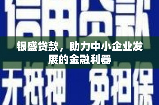 岳阳楼银盛贷款，助力中小企业发展的金融利器