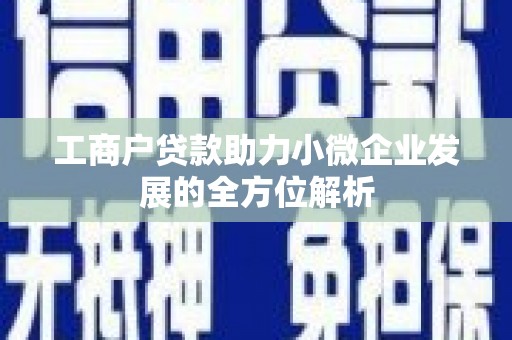 岳阳楼工商户贷款助力小微企业发展的全方位解析