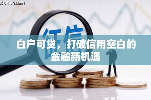 岳阳楼白户可贷，打破信用空白的金融新机遇