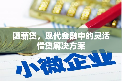 岳阳楼随薪贷，现代金融中的灵活借贷解决方案