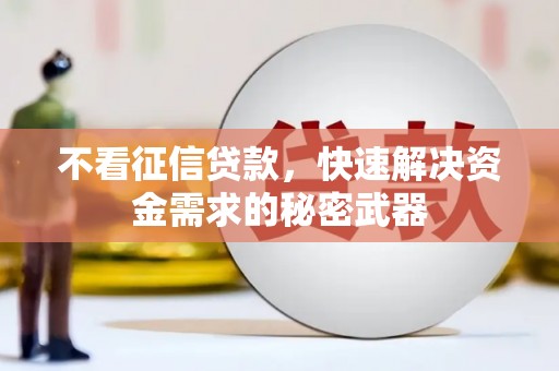 岳阳楼不看征信贷款，快速解决资金需求的秘密武器