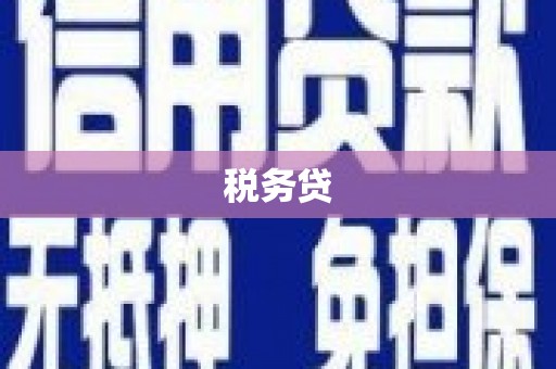 岳阳楼税务贷