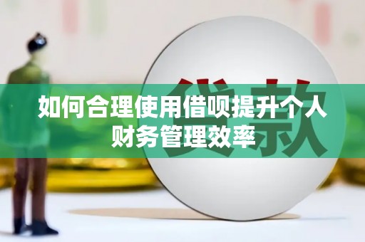 岳阳楼如何合理使用借呗提升个人财务管理效率