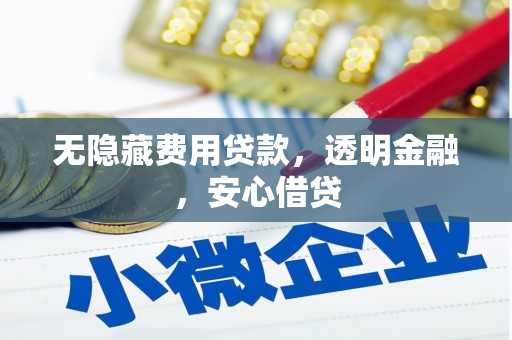 岳阳楼无隐藏费用贷款，透明金融，安心借贷