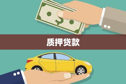 岳阳楼质押贷款
