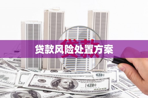 岳阳楼贷款风险处置方案