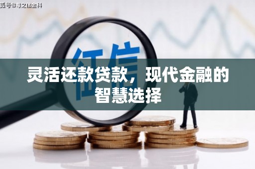 岳阳楼灵活还款贷款，现代金融的智慧选择