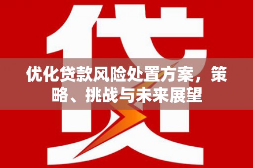 岳阳楼优化贷款风险处置方案，策略、挑战与未来展望