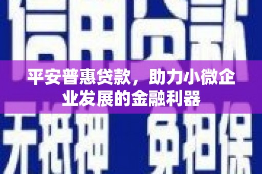 岳阳楼平安普惠贷款，助力小微企业发展的金融利器