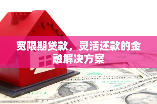 岳阳楼宽限期贷款，灵活还款的金融解决方案