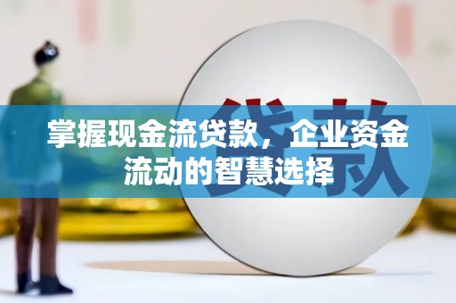 岳阳楼掌握现金流贷款，企业资金流动的智慧选择
