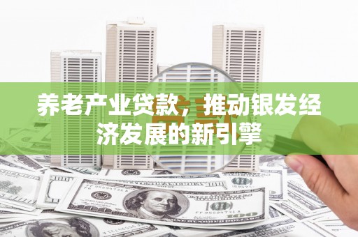 岳阳楼养老产业贷款，推动银发经济发展的新引擎