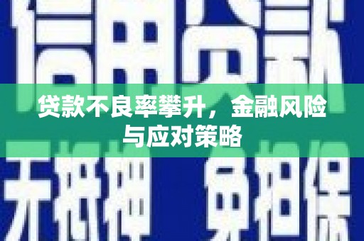岳阳楼贷款不良率攀升，金融风险与应对策略