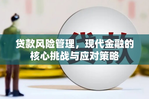 岳阳楼贷款风险管理，现代金融的核心挑战与应对策略