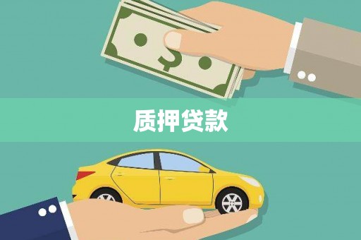 岳阳楼质押贷款