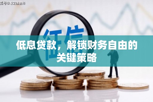岳阳楼低息贷款，解锁财务自由的关键策略