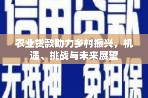 岳阳楼农业贷款助力乡村振兴，机遇、挑战与未来展望
