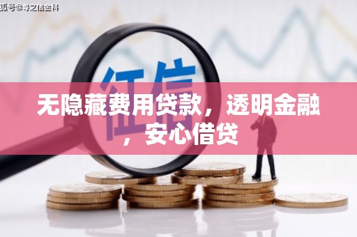 岳阳楼无隐藏费用贷款，透明金融，安心借贷