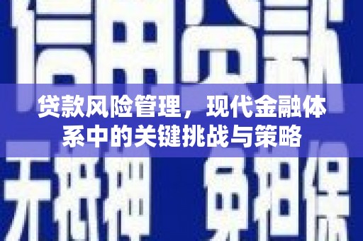 岳阳楼贷款风险管理，现代金融体系中的关键挑战与策略
