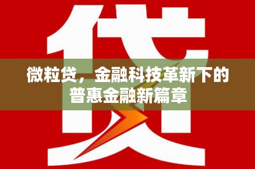 岳阳楼微粒贷，金融科技革新下的普惠金融新篇章