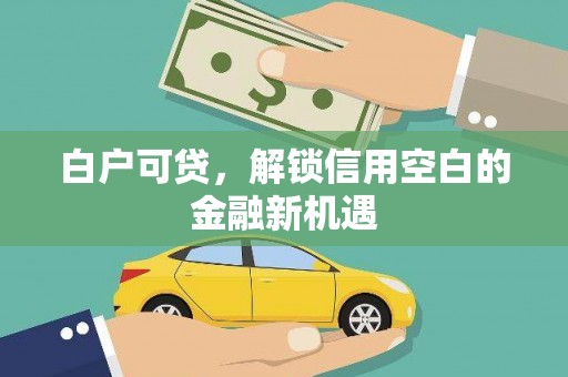 岳阳楼白户可贷，解锁信用空白的金融新机遇