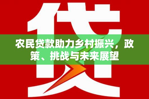 岳阳楼农民贷款助力乡村振兴，政策、挑战与未来展望