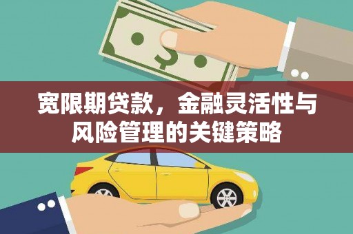 岳阳楼宽限期贷款，金融灵活性与风险管理的关键策略