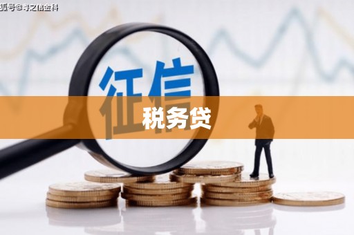岳阳楼税务贷