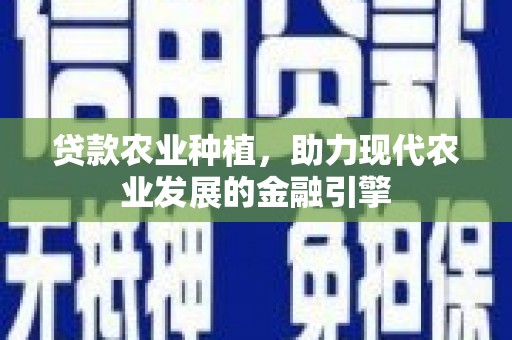 岳阳楼贷款农业种植，助力现代农业发展的金融引擎