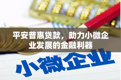 岳阳楼平安普惠贷款，助力小微企业发展的金融利器