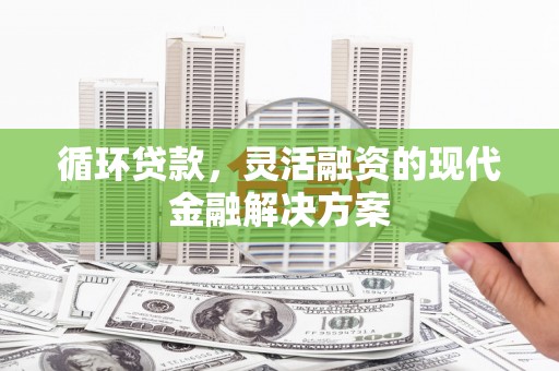 岳阳楼循环贷款，灵活融资的现代金融解决方案