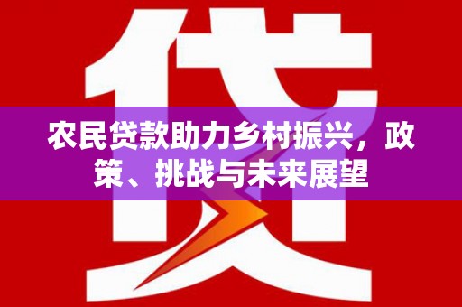 岳阳楼农民贷款助力乡村振兴，政策、挑战与未来展望