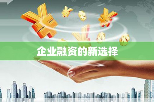 岳阳楼企业融资的新选择