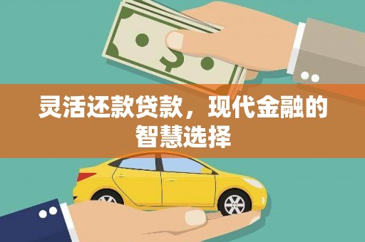 岳阳楼灵活还款贷款，现代金融的智慧选择