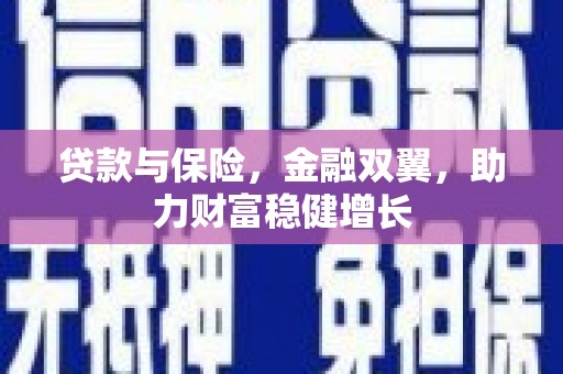 岳阳楼贷款与保险，金融双翼，助力财富稳健增长