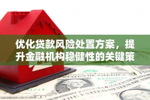 岳阳楼优化贷款风险处置方案，提升金融机构稳健性的关键策略