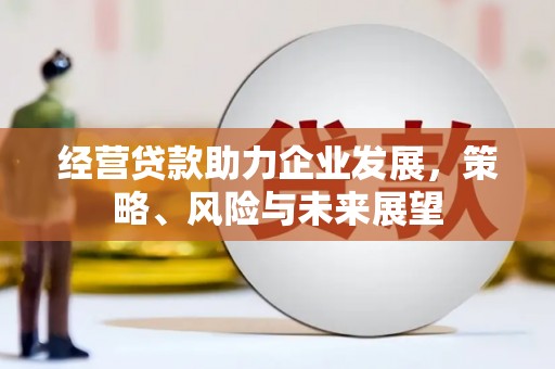 岳阳楼经营贷款助力企业发展，策略、风险与未来展望