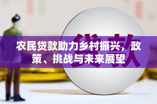 岳阳楼农民贷款助力乡村振兴，政策、挑战与未来展望
