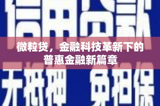 岳阳楼微粒贷，金融科技革新下的普惠金融新篇章