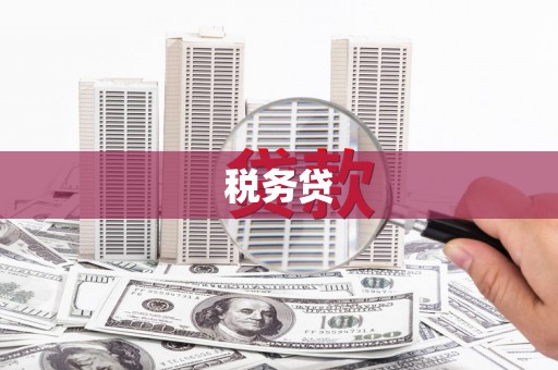 岳阳楼税务贷