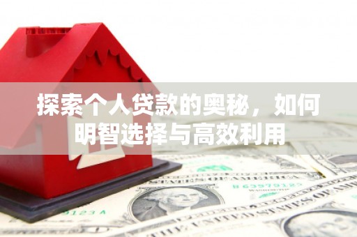岳阳楼探索个人贷款的奥秘，如何明智选择与高效利用