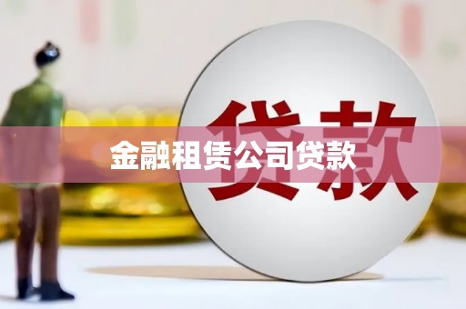 岳阳楼金融租赁公司贷款