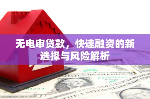岳阳楼无电审贷款，快速融资的新选择与风险解析