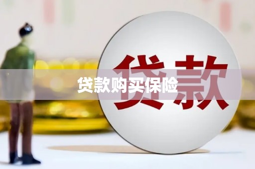 岳阳楼贷款购买保险