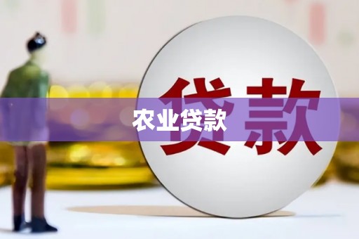 岳阳楼农业贷款